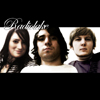 Radiolake