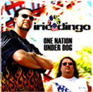 Irie Dingo