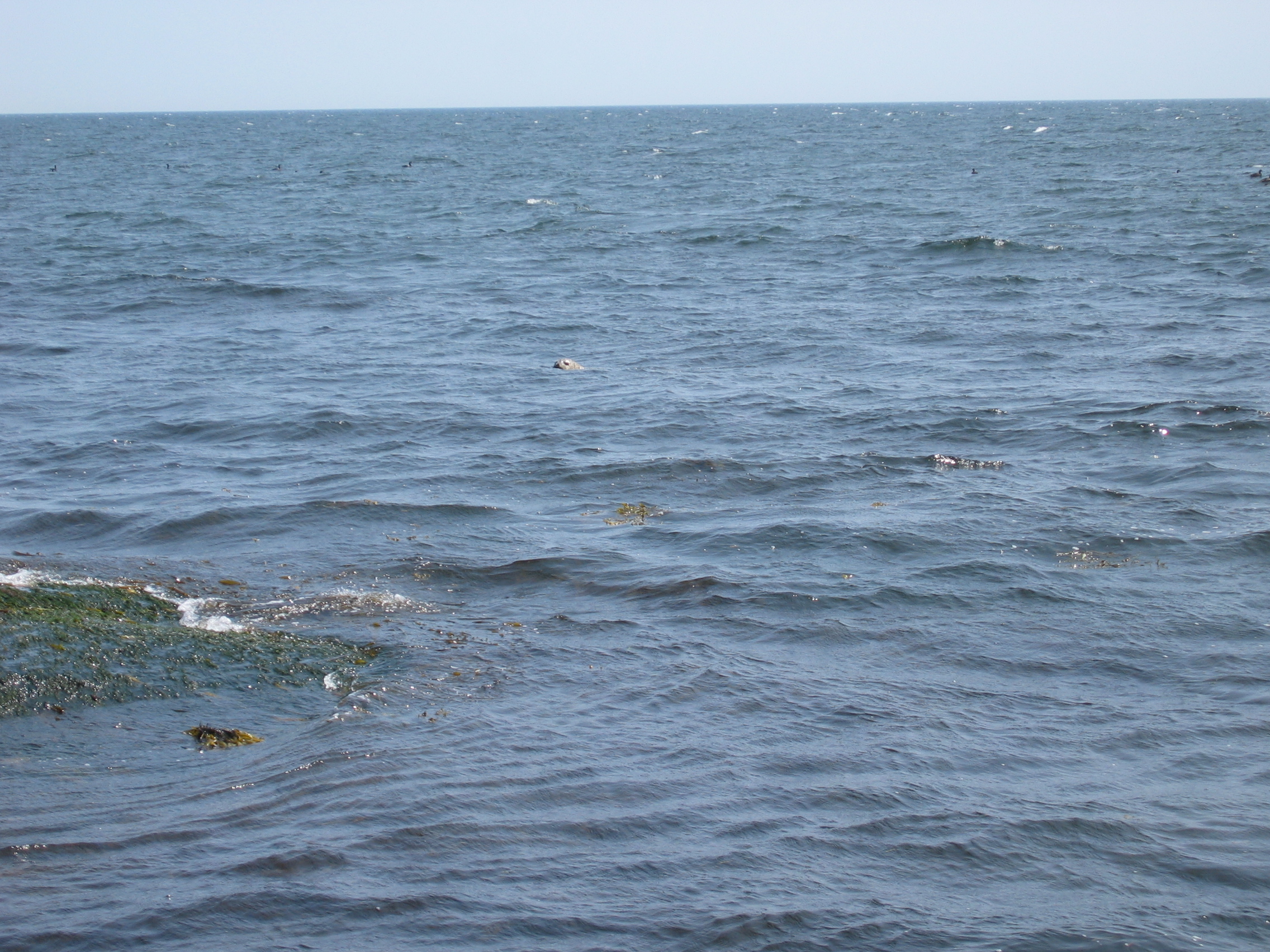 Upon The Sea