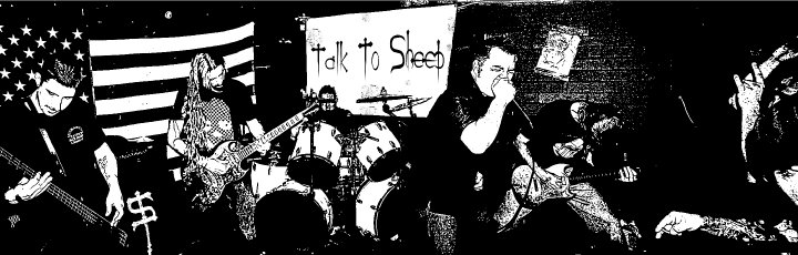 Talk To Sheep